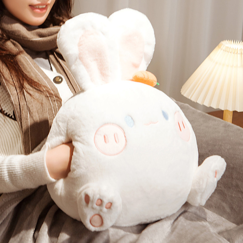 暖手抱枕被子两用毯子三合一办公室午休插手睡觉午睡枕头女生冬季,居家布艺,抱枕被,淘宝优惠券,粉丝福利购,淘宝优惠卷