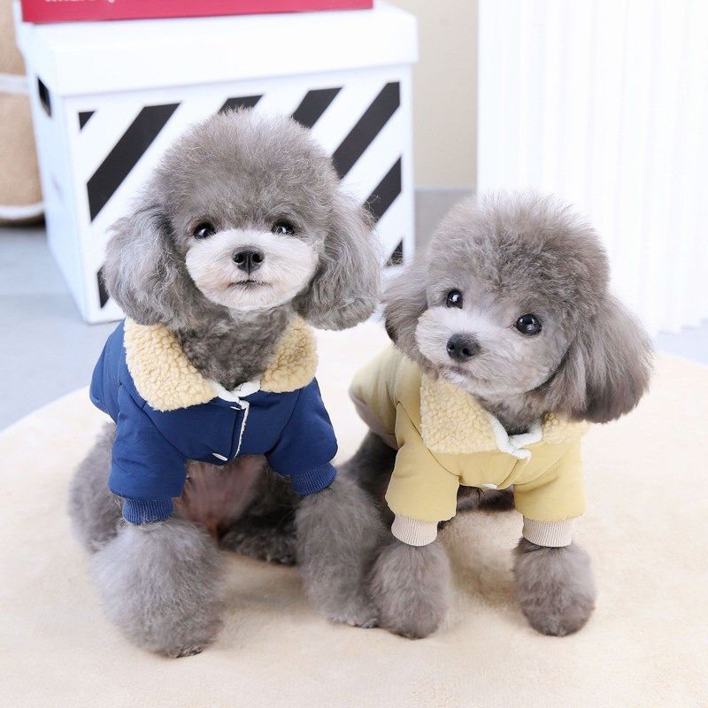 泰迪宠物狗狗冬天衣服秋冬装加厚两脚博美比熊小型犬猫咪棉服加绒