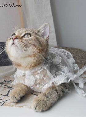 HC网红宠物狗狗蕾丝超短背心夏天网纱防晒衣服轻薄猫咪公主蕾丝裙