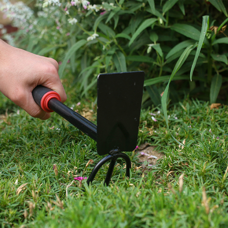 种花园艺工具铲子五齿耙栽花养花种菜小锄头家用赶海花草铁锹耙子