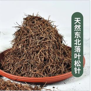 天然松针橡树叶腐殖土腐熟酸性透气营养种植土兰花君子兰杜鹃专用