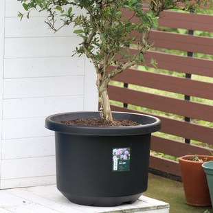 大号花盆家用盆栽黑加仑盆绿萝月季 圆形多肉花盆大口径塑料种菜盆