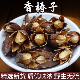 香椿子中药材 香铃子 天然纯新货 香椿种子果实香椿果籽香椿树籽