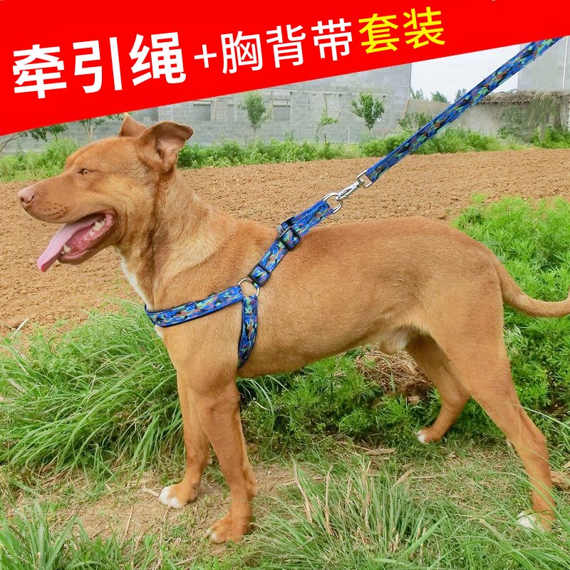 萨摩金毛大型犬胸背带狗狗牵引绳德牧阿拉斯加反光狗链牵引带狗绳