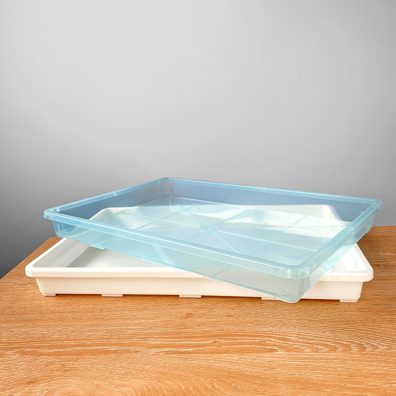 多肉花盆塑料接水盘长方形浸盆整理阳台托架肉锥生石花块根育苗盆