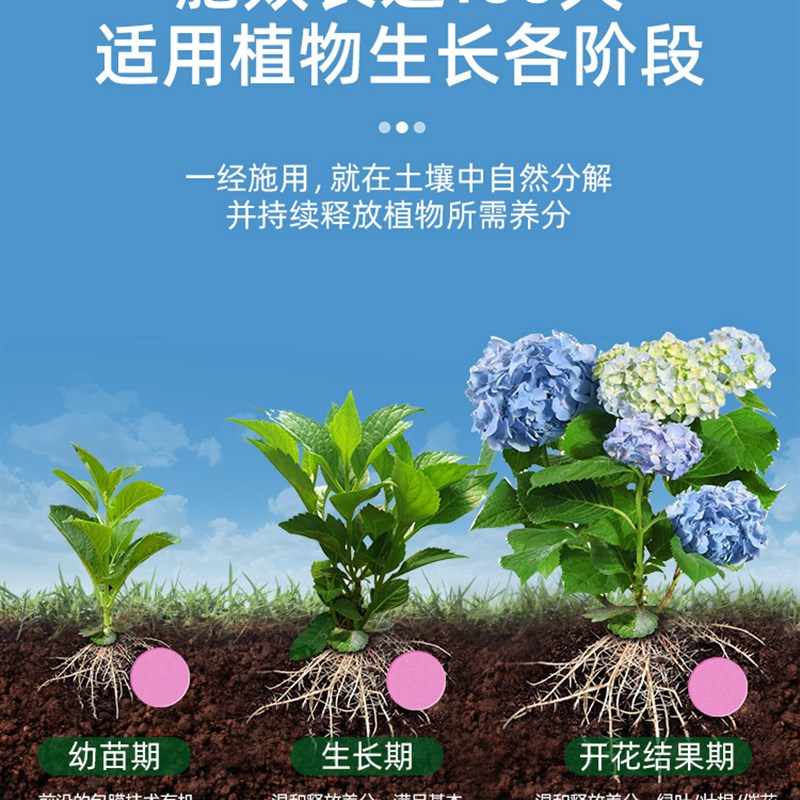植物营养缓释片氮磷钾复合肥家庭园艺盆栽花卉月季发财树室内通用