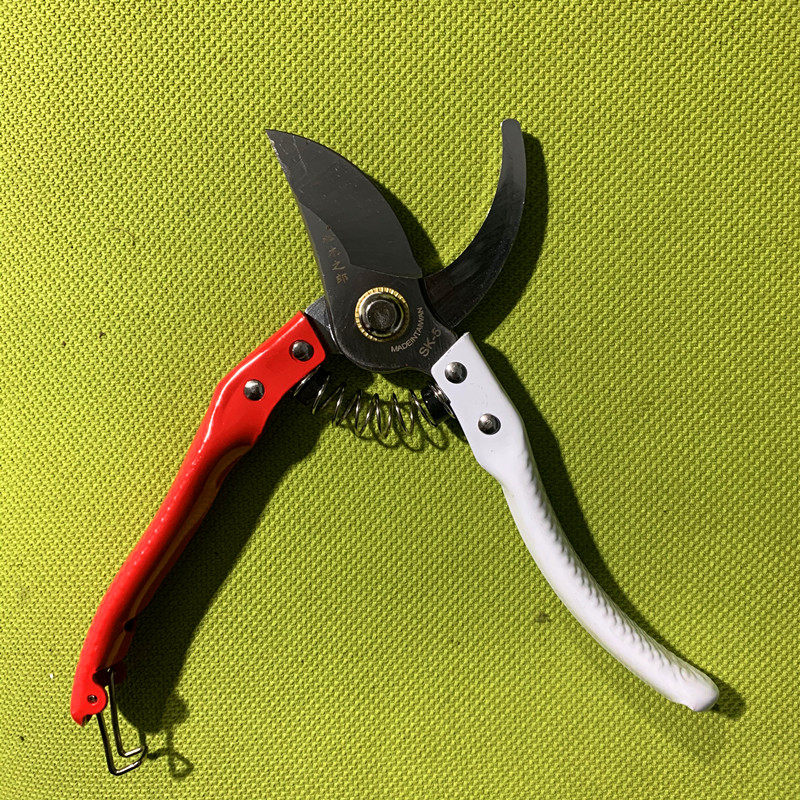 园艺剪刀修整株型必不可少 一六八园艺