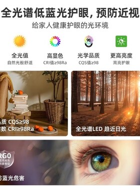 Ra98显全光谱灯带24vLED贴片灯条8mm10mm高亮护眼无频闪线型线条