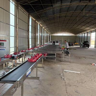 全自动水果重量分选机西瓜密瓜级分级秤芒果脐橙无损伤挑选机