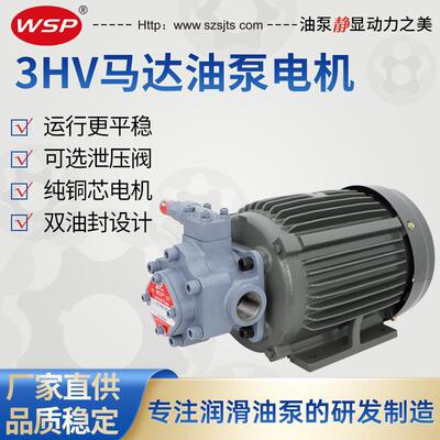 滤油机油泵TOP-3HV60油冷机润滑泵TOP-3HV80马达油泵自吸摆线泵