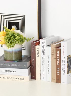 英文北欧风格仿真书客厅影视道具