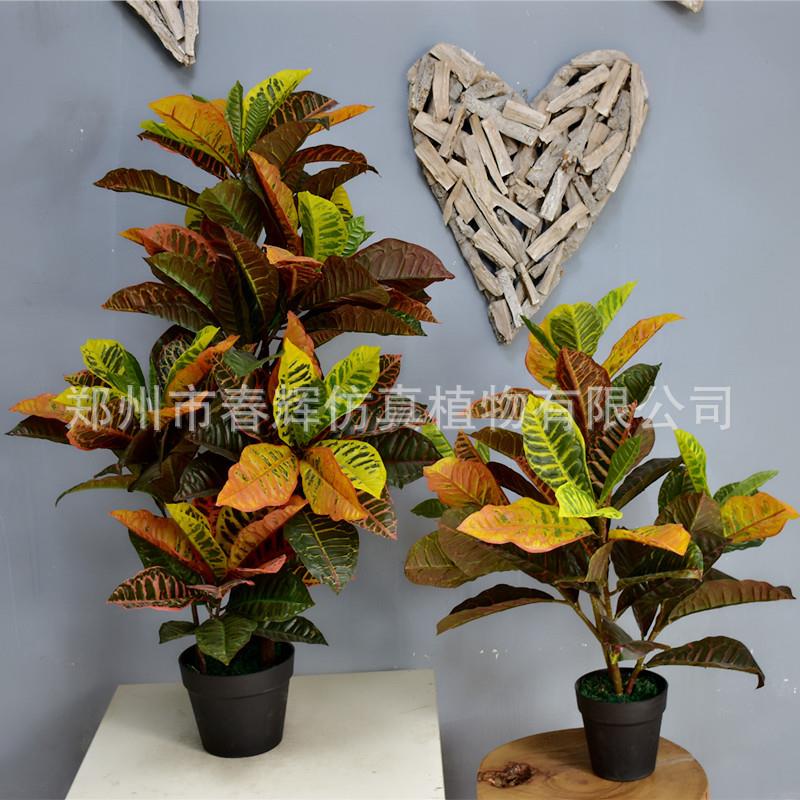 仿真洒金榕盆景仿真变叶木绿植盆栽家居装饰假绿植
