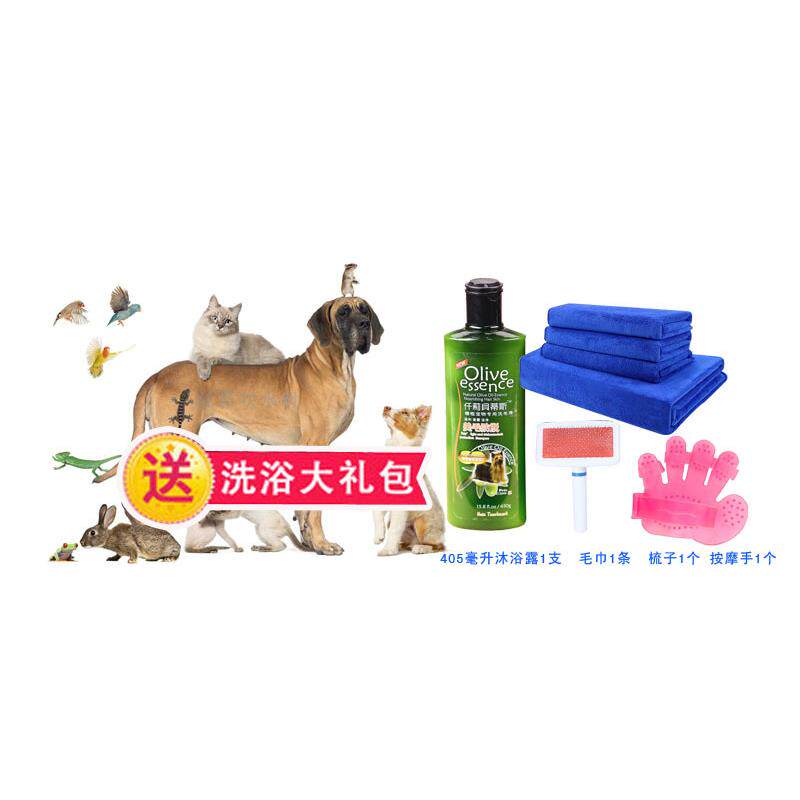 宠物吹水机大型犬宠物吹干机 狗狗毛发吹干机吹水器快速吹干机