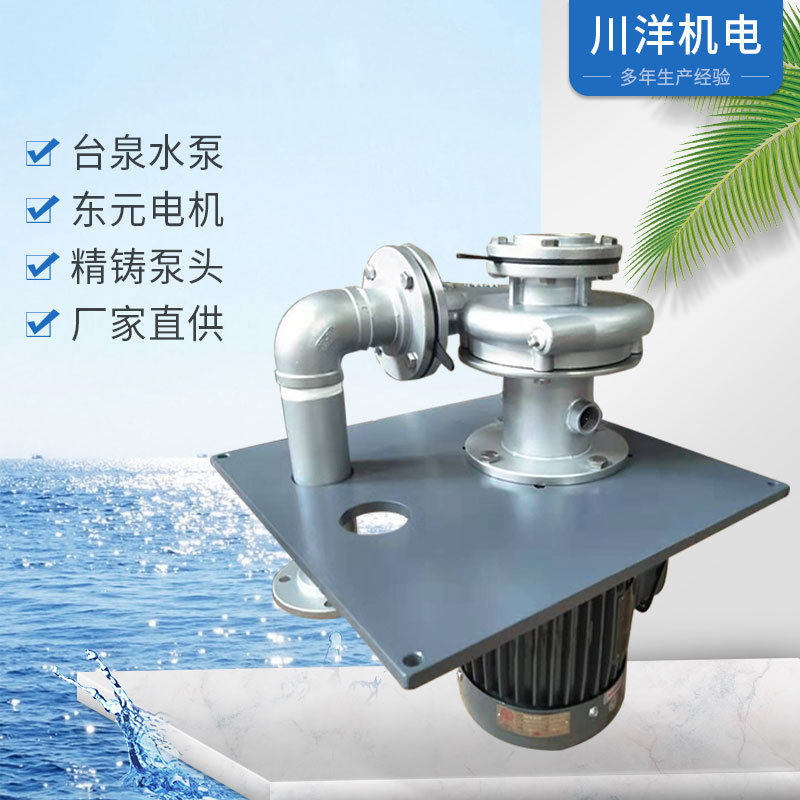 台泉悬臂式双管液下泵 东元立式不锈钢SUS304液下泵 无轴封可空转,五金/工具,水泵,淘宝优惠券,粉丝福利购,淘宝优惠卷