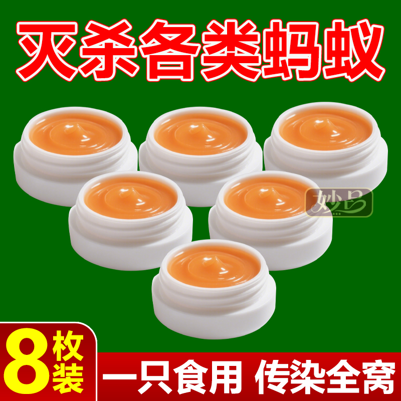 蚂蚁药家用室内无毒强效第一名