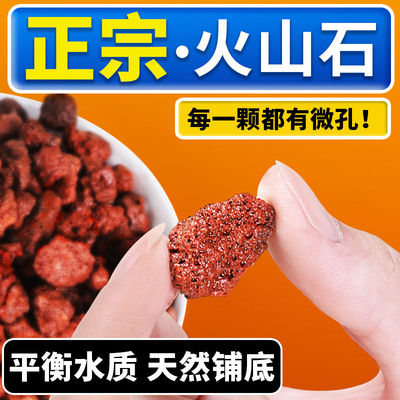 森森火山石鱼缸底砂造景底部砂石专用古法养鱼培菌滤材水草泥