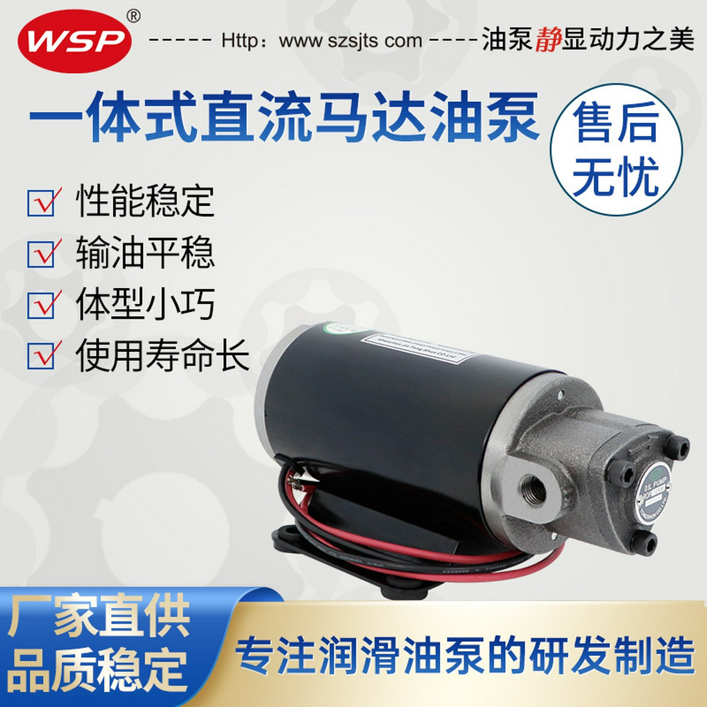变速箱换油泵4S汽车保养泵12V抽油泵24V一轴式油泵电机摆线泵