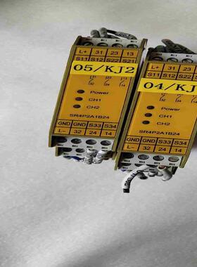 SR4P2A1B24莱恩光缆安全继电器SR4P2A1B24【侨报商行】