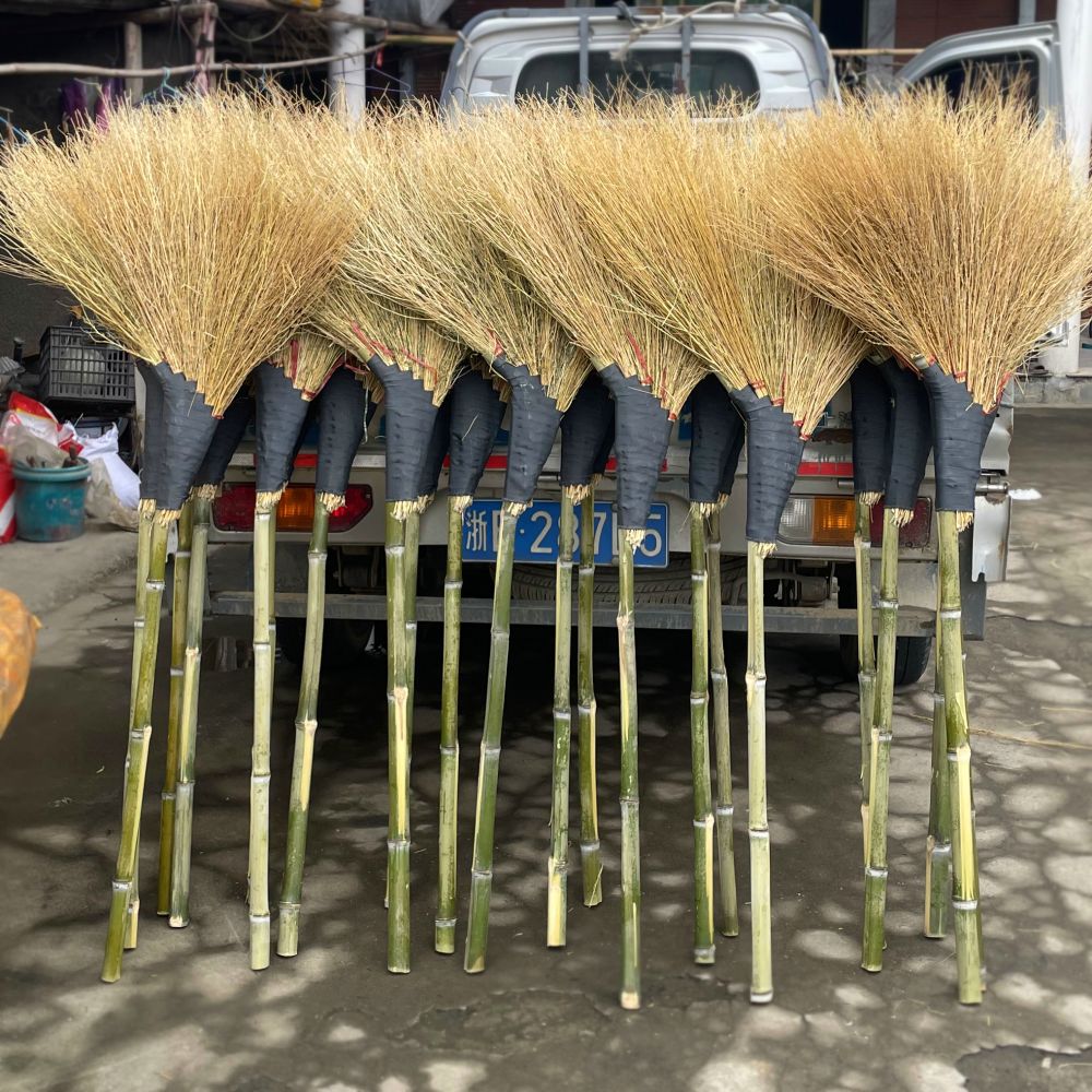 金丝草扫把温州观音草加大加厚学校院子工厂用环卫工水泥地铁