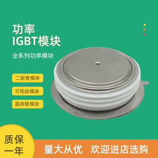 T281N65TOF T281N60TOF 可控硅晶闸管T4021N52TOF T4021N53TOF