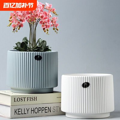 花盆陶瓷带托盘特价清仓白色家用阳台蝴蝶兰绿萝盆特大号耐用