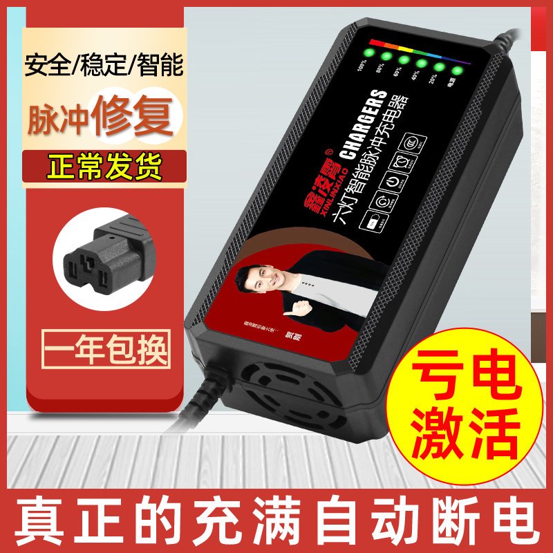适用电动车电瓶充电器48V12AH20AH60V72伏爱玛雅迪台铃电车三轮车
