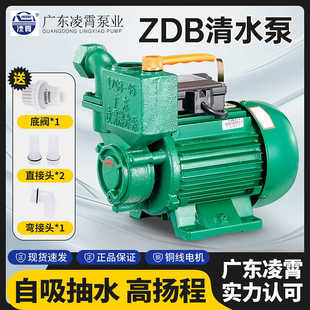 广东凌霄水泵家用自来水增压泵1ZDB35 65井水抽水机自吸