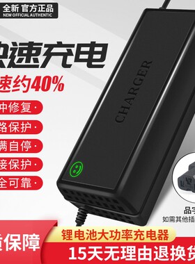 磷酸铁锂充电器60V锂电池电瓶大功率73V76.65V专用5安快充8A10A伏