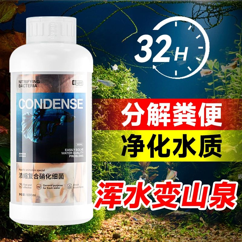 硝化细菌鱼缸专用净化水质稳定剂鱼药分解鱼粪一滴清消化活菌液