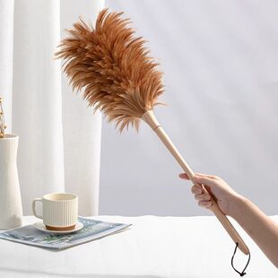 手工真鸡毛掸子老式家用除尘禅子车用清洁扫灰不掉毛装饰插瓶
