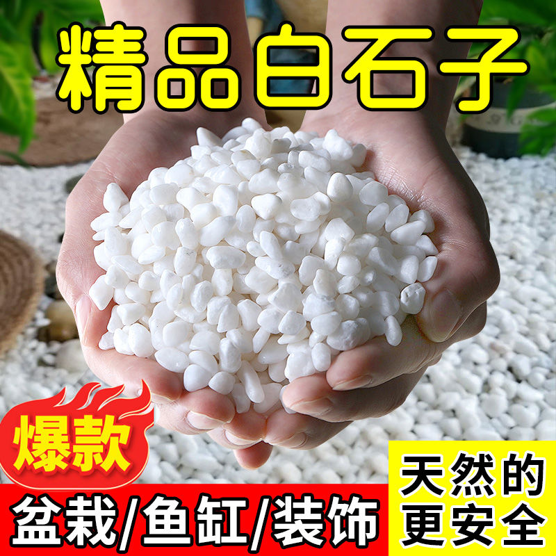 天然白色石子石头多肉铺面盖面鹅卵石彩石五花石花园鱼缸造景铺路