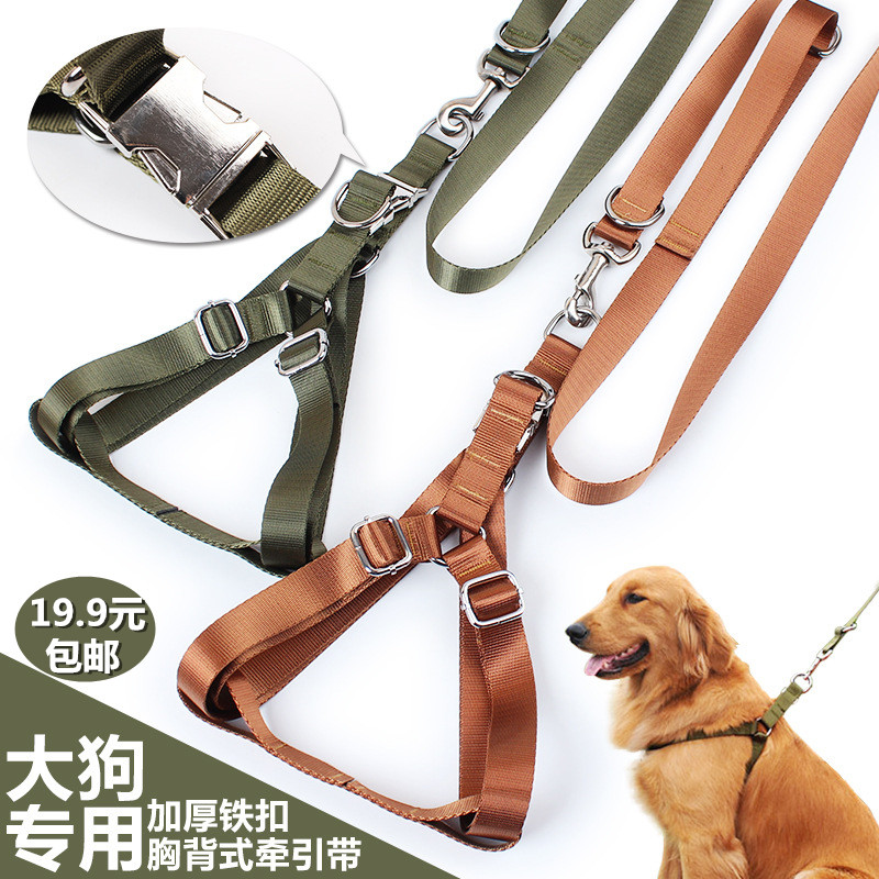 金毛狗链子大型犬狗狗牵引绳带胸背带遛狗绳子中型萨摩耶宠物