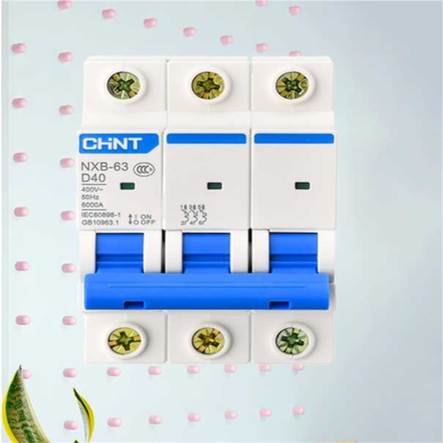 昆仑NXB-63 3P D 10A 16A 20A 32A 40A 63A 1P2P4P动力型开关