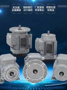 YE YS GS6324 6334 7114 7124 8014 8034 2 4P国铜线电动机