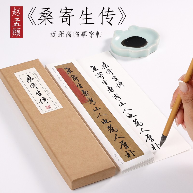 元 赵孟俯 行书《桑寄生传》赵孟頫书法毛笔练字帖近距离对临字卡