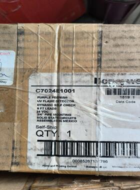 议~C7024E1001火焰检测器