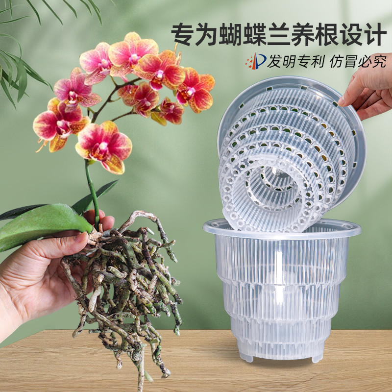 美莳蝴蝶兰专用控根花盆透明透气塑料单只育苗杯盆栽青山水苔