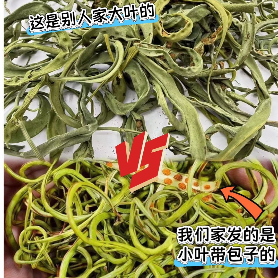 跑山助农专属化石草长白山山货深山野黄金草泡水泡茶可配枸杞