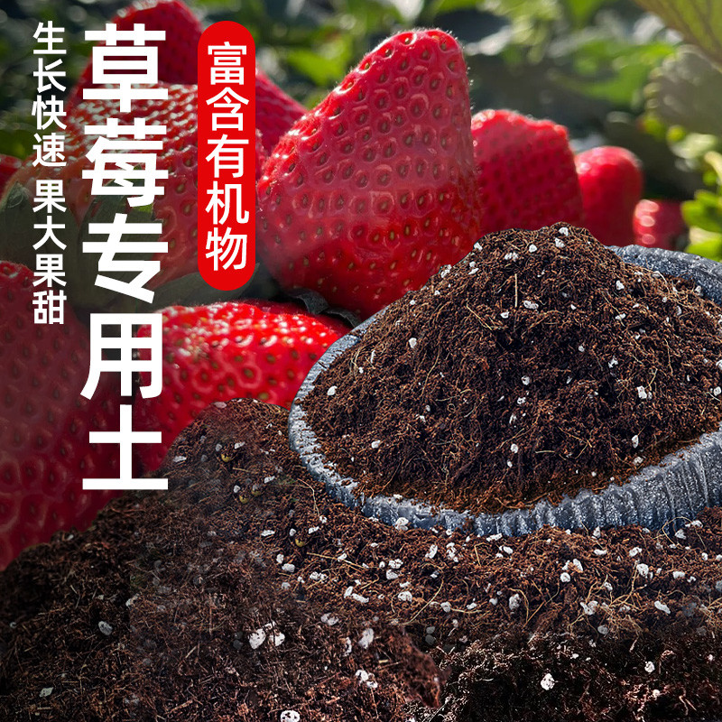 草莓专用营养土蔬菜瓜果专用土通用型土壤种植土透气养花盆栽花泥