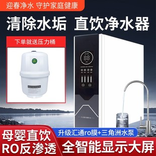 家用直饮机0阻垢剂ro反渗透通用滤芯净水器 迎春净水器过滤器推荐