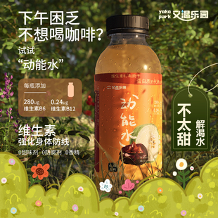 12瓶 400ml 健康助抵抗力 B16马蹄冬瓜功能饮料 又渴乐园维生素B2