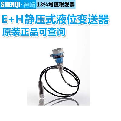 德国E+H恩德斯豪斯静压式液位计投入式液位变送器FMX21