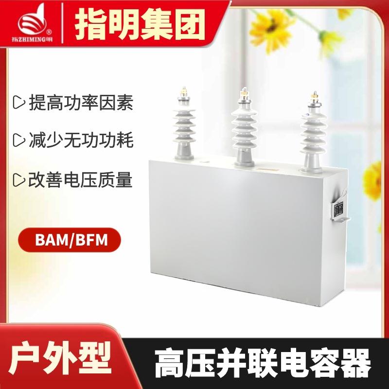 指明集团单相高压电力电容器BFM11√3-100-1W高压并联电容器12kv