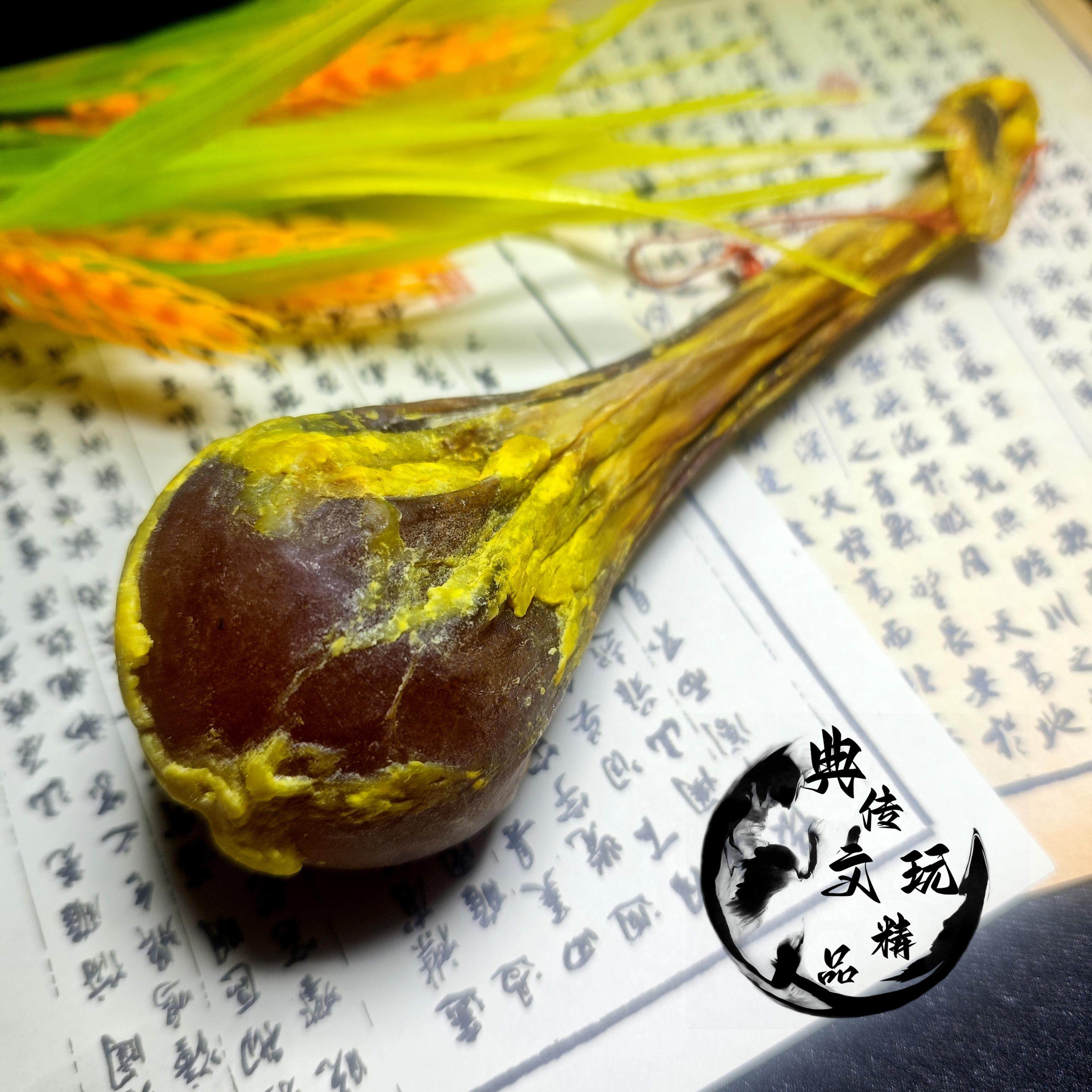 俄罗纯天然棕牛胆 养生滋补泡酒料 文玩摆件工艺品 款式齐全 细品