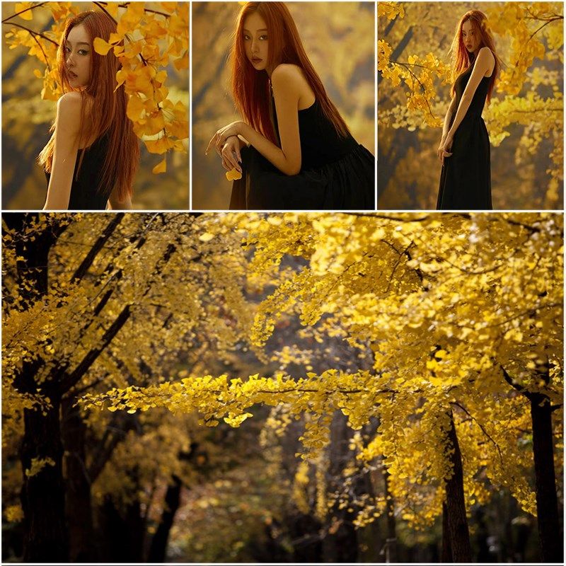 新款秋季少女银杏摄影写真布影楼照相馆拍照家用个性装饰背景布