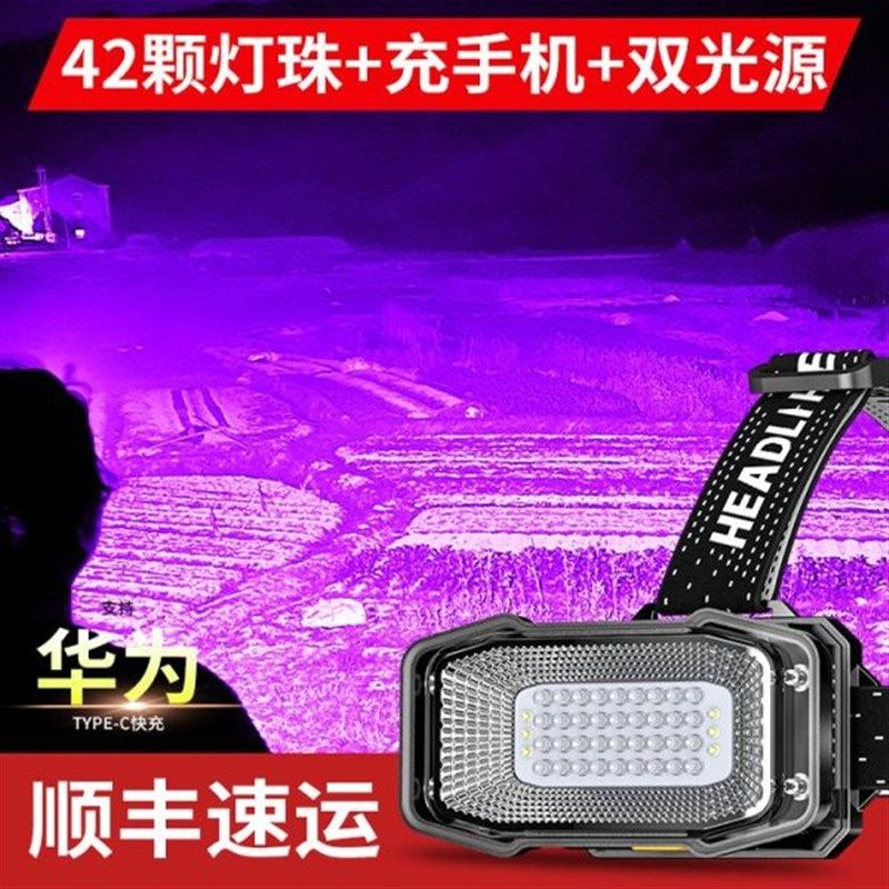 头戴式蝎子c灯2024新款专用强光款大功率型红光头灯养蜂专用手电