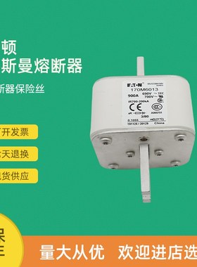 全新快速熔断器保险170M6044 170M6048 170M6058 170M6059