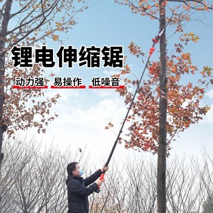 x高空修剪树枝锯伸缩加长杆园林果树 迈越电动高枝电锯家用充电式