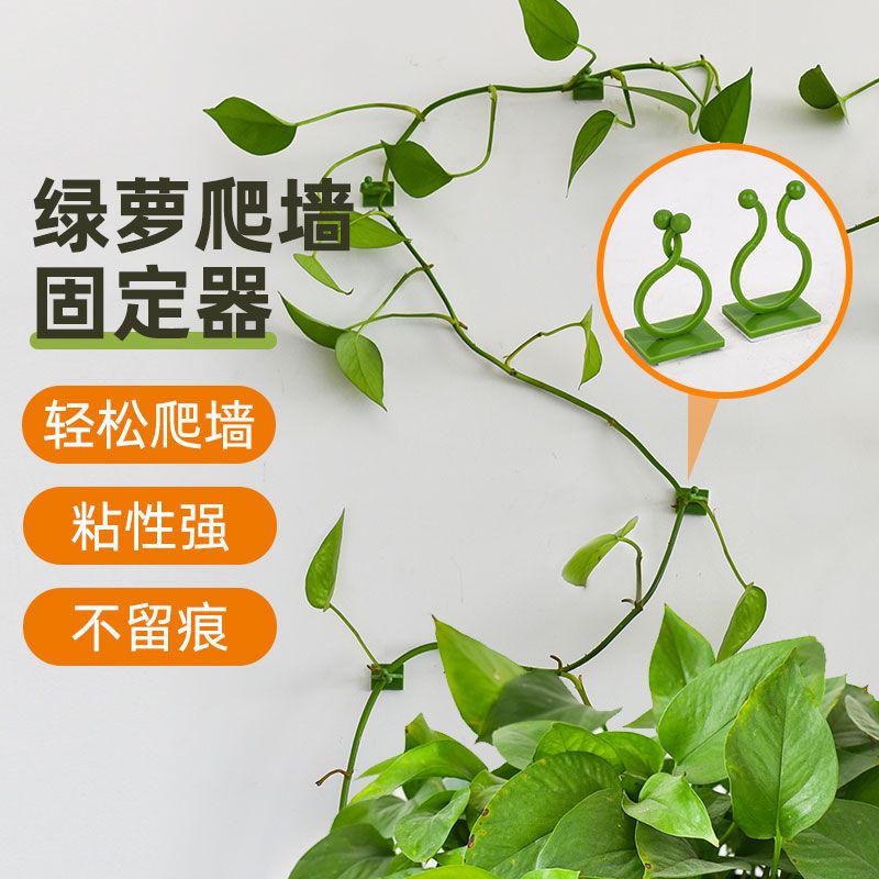 家用无痕免钉爬藤固定器