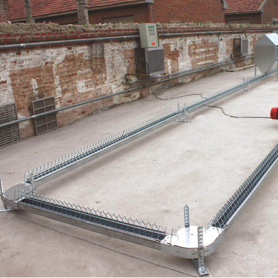 种鸡料线种鸡刮板喂料系统料线多层喂料系统南非刮板厂家直供,畜牧/养殖物资,畜牧/养殖器械,淘宝优惠券,粉丝福利购,淘宝优惠卷